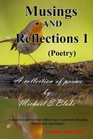 Kniha Musings and Reflections MR Michael Sylvester Blake