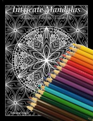 Kniha Intricate Mandalas, Midnight Edition, Volume 2 Amazing Pencil