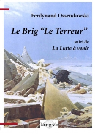 Kniha Le Brig &quot;Le Terreur&quot; Patrice Lajoye