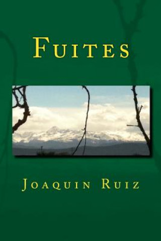 Book Fuites Joaquin Ruiz
