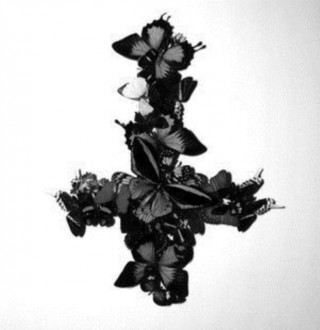 Audio Never Forever Monarch