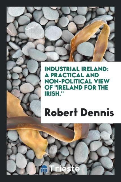 Könyv Industrial Ireland Robert Dennis