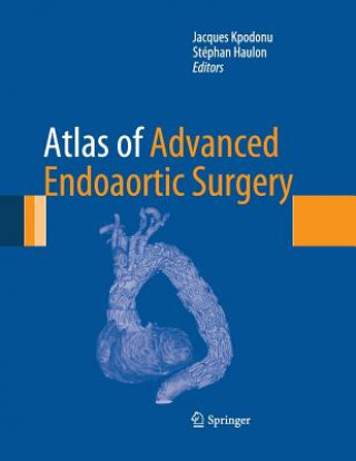 Buch Atlas of Advanced Endoaortic Surgery Stéphan Haulon