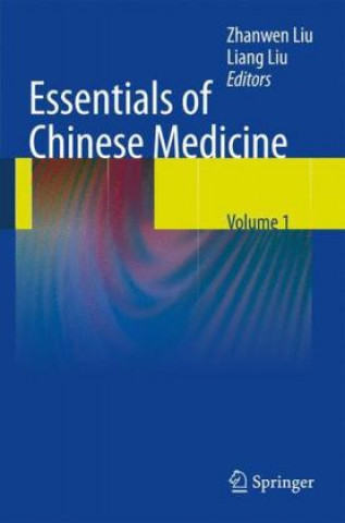 Könyv Essentials of Chinese Medicine Zhanwen Liu