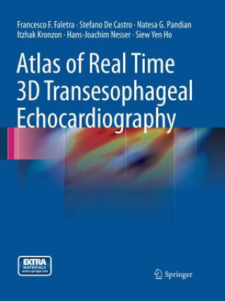 Könyv Atlas of Real Time 3D Transesophageal Echocardiography Stefano De Castro