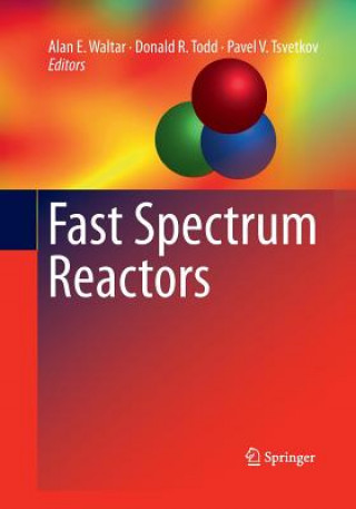 Kniha Fast Spectrum Reactors Donald R. Todd