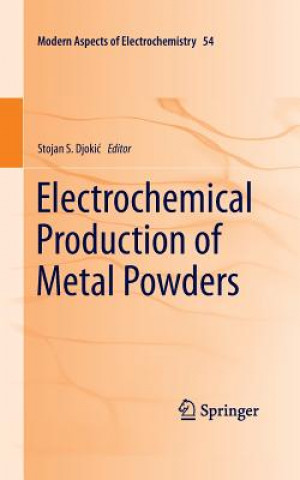 Książka Electrochemical Production of Metal Powders Stojan S. Djokic