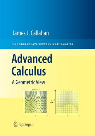 Könyv Advanced Calculus James J. Callahan