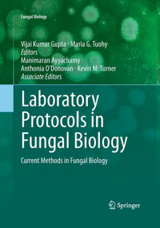 Kniha Laboratory Protocols in Fungal Biology Manimaran Ayyachamy