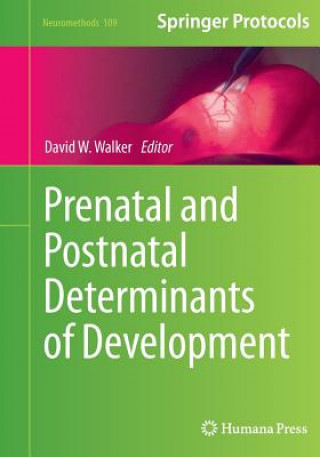 Kniha Prenatal and Postnatal Determinants of Development David W. Walker