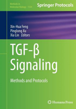 Könyv TGF-  Signaling Xin-Hua Feng