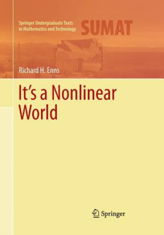 Könyv It's a Nonlinear World Richard H. Enns