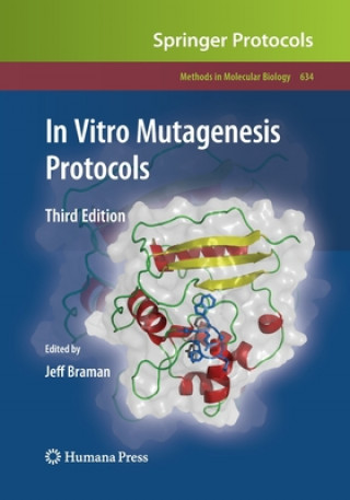 Książka In Vitro Mutagenesis Protocols Jeff Braman