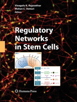 Książka Regulatory Networks in Stem Cells Vinagolu K. Rajasekhar