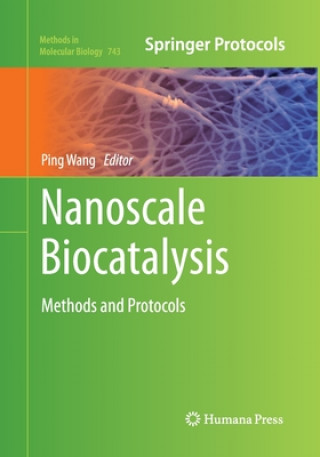 Kniha Nanoscale Biocatalysis Ping Wang