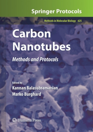 Книга Carbon Nanotubes Kannan Balasubramanian