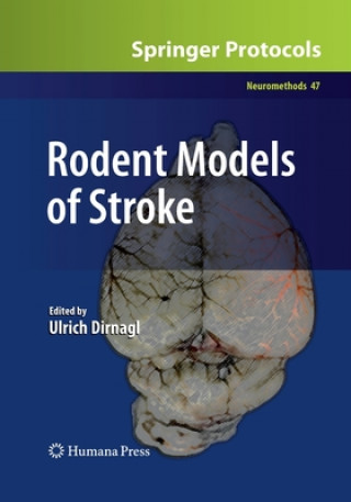 Kniha Rodent Models of Stroke Ulrich Dirnagl