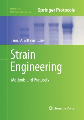 Książka Strain Engineering James A. Williams