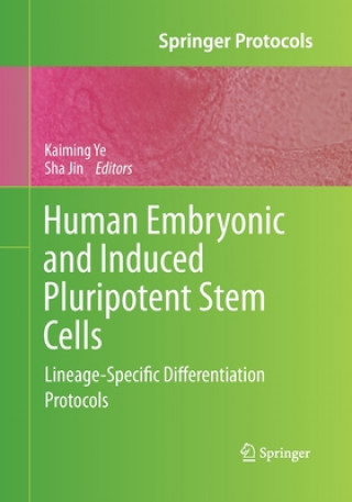 Książka Human Embryonic and Induced Pluripotent Stem Cells Sha Jin