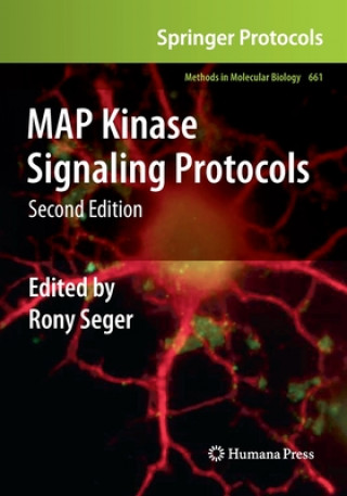 Boek MAP Kinase Signaling Protocols Rony Seger