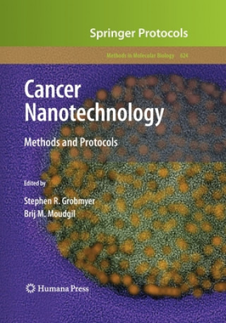 Kniha Cancer Nanotechnology Stephen R. Grobmyer