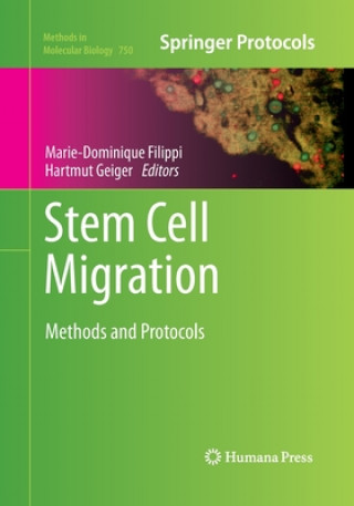 Książka Stem Cell Migration Marie-Dominique Filippi