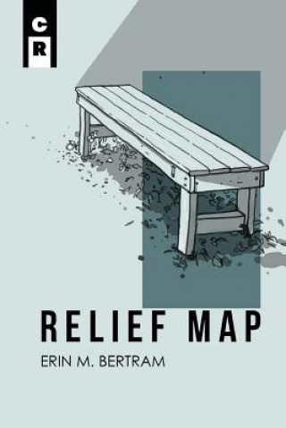 Carte Relief Map Erin M Bertram