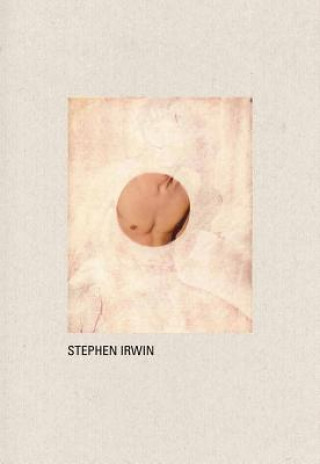 Könyv Stephen Irwin Vince Aletti