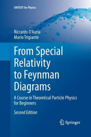 Könyv From Special Relativity to Feynman Diagrams Riccardo D'Auria