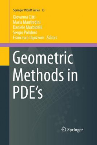 Knjiga Geometric Methods in PDE's Giovanna Citti