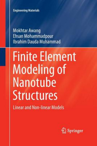 Carte Finite Element Modeling of Nanotube Structures Mokhtar Awang