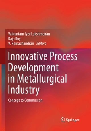 Книга Innovative Process Development in Metallurgical Industry Vaikuntam Iyer Lakshmanan