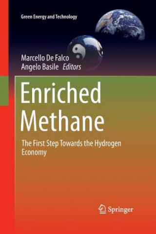 Knjiga Enriched Methane Angelo Basile