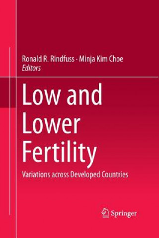 Książka Low and Lower Fertility Minja Kim Choe