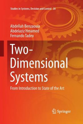 Kniha Two-Dimensional Systems Abdellah Benzaouia