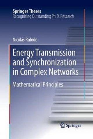 Könyv Energy Transmission and Synchronization in Complex Networks Nicolás Rubido