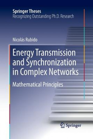 Kniha Energy Transmission and Synchronization in Complex Networks Nicolás Rubido