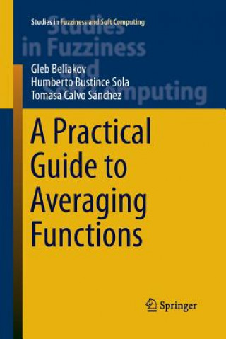 Könyv Practical Guide to Averaging Functions Gleb Beliakov