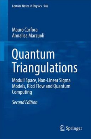 Book Quantum Triangulations Mauro Carfora