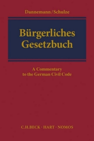 Carte German Civil Code Volume I Gerhard Dannemann
