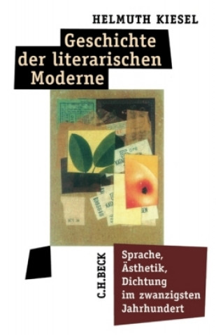 Kniha Geschichte der literarischen Moderne Helmuth Kiesel