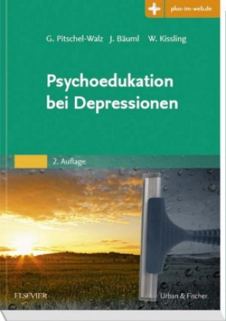Buch Psychoedukation bei Depressionen Gabriele Pitschel-Walz