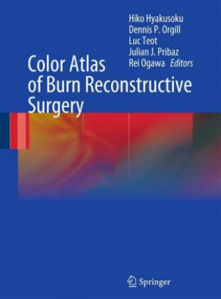 Buch Color Atlas of Burn Reconstructive Surgery Hiko Hyakusoku