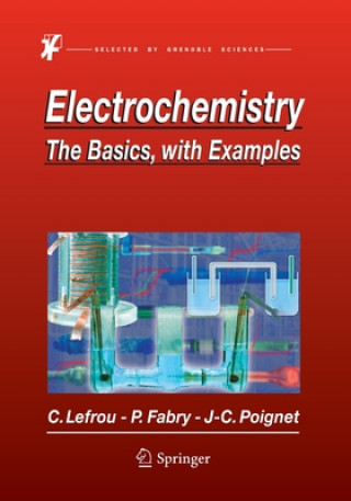 Könyv Electrochemistry Pierre Fabry