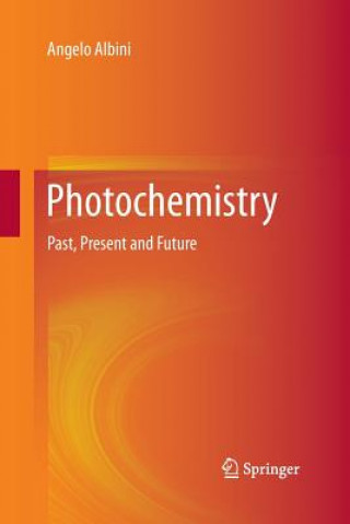 Buch Photochemistry Angelo Albini