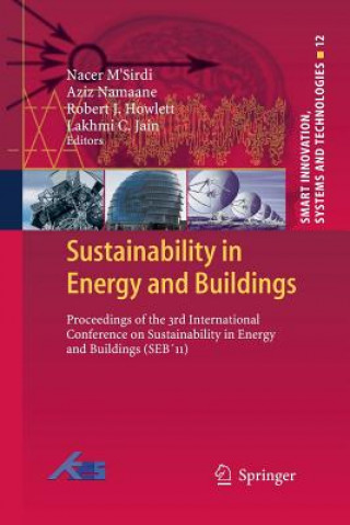 Kniha Sustainability in Energy and Buildings Robert J. Howlett