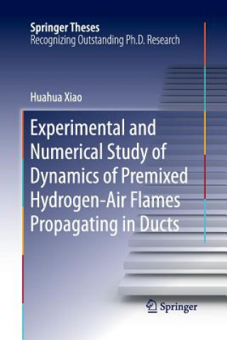 Kniha Experimental and Numerical Study of Dynamics of Premixed Hydrogen-Air Flames Propagating in Ducts Huahua Xiao