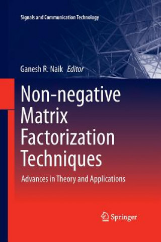 Książka Non-negative Matrix Factorization Techniques Ganesh R. Naik