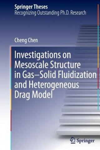 Книга Investigations on Mesoscale Structure in Gas-Solid Fluidization and Heterogeneous Drag Model Cheng Chen