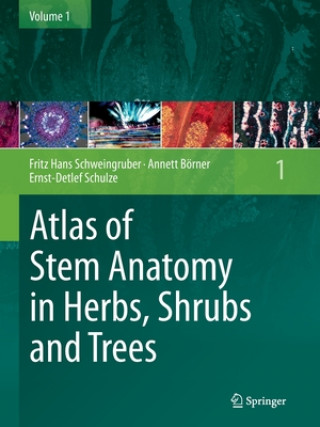 Könyv Atlas of Stem Anatomy in Herbs, Shrubs and Trees Annett Börner